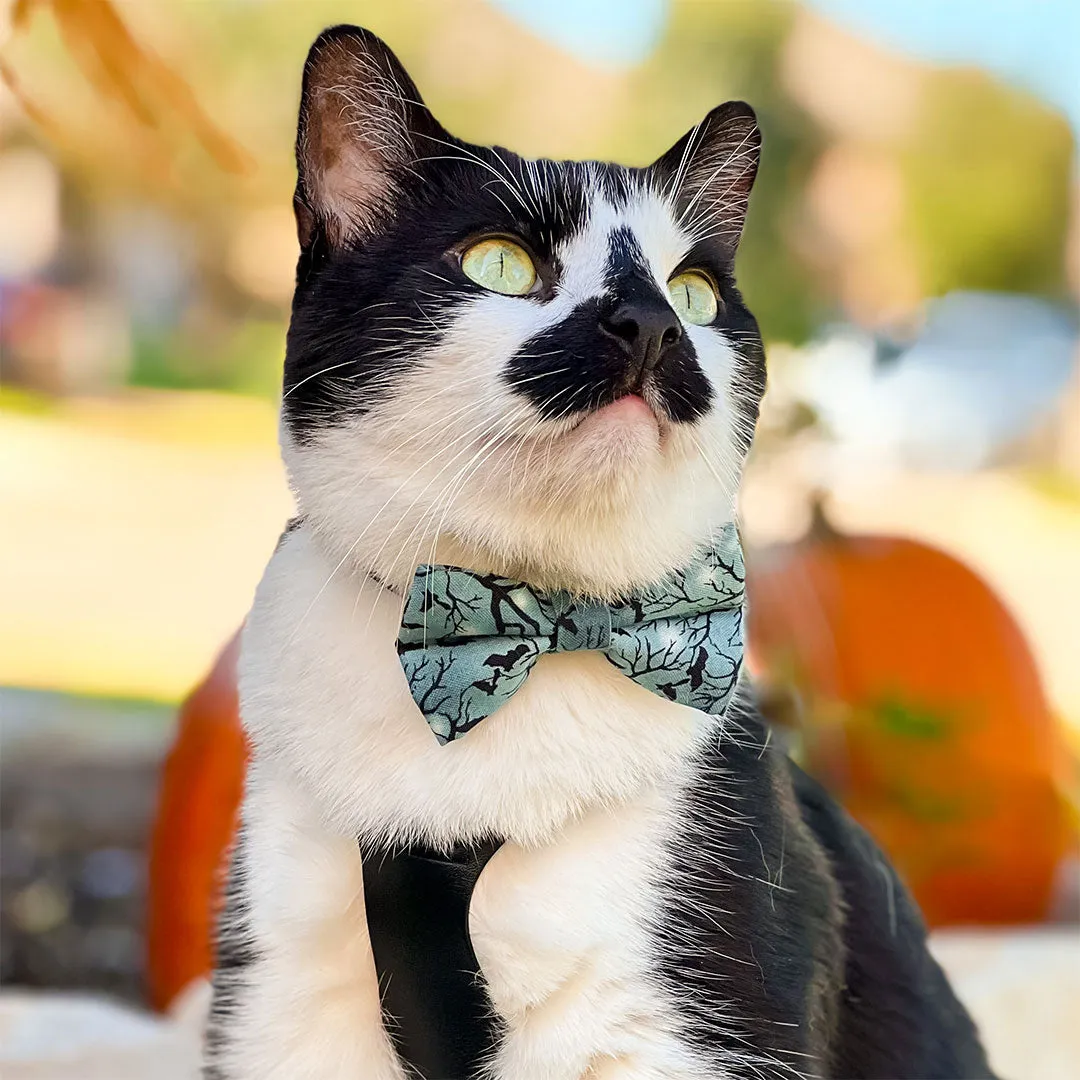 Halloween Pet Bow Tie - "Witching Hour" - Midnight Gray Bats Bow Tie for Cat / For Cats   Small Dogs (One Size)