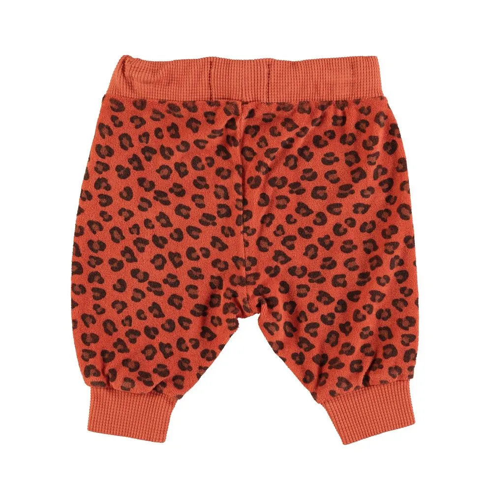 Jogging Pants in Terracotta w/ Animal Print